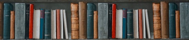 book-bookcase-books-1166657 (2).jpg